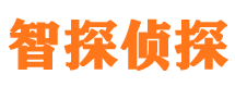 伊通外遇出轨调查取证